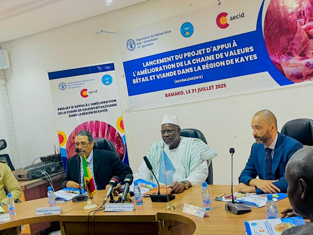 Lancement officiel du projet de renforcement de la chaîne de valeur bétail/viande dans la région de Kayes